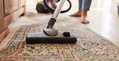 Area Rug and Upholstery Cleaning