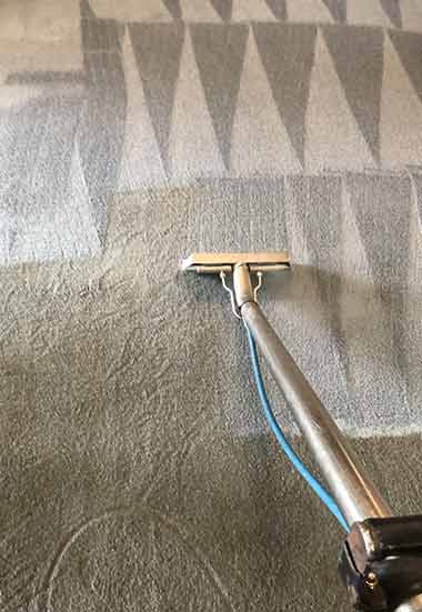 Premier Carpet Steam Cleaning and Spot Dye Service in Canberra